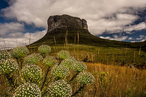 Ecotourism in Brazil